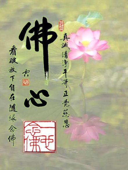 《净土大经科注》第221集2013年3月19日讲于香港自性清净心里面不许可