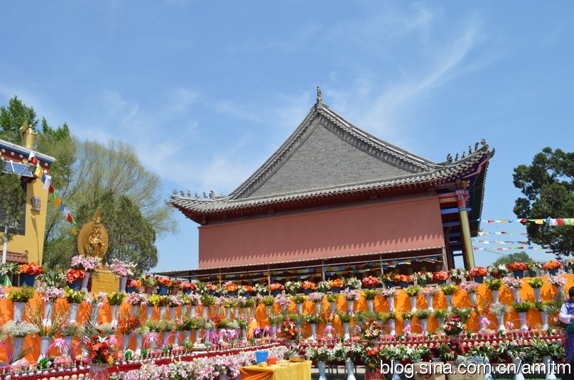 妙吉寺妙吉寺第四届十万束鲜花供佛法会盛况