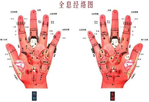 手的惊人秘密掌心的八卦图