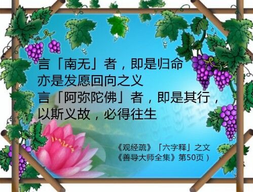 信愿法师善导大师法事赞摘要二十二